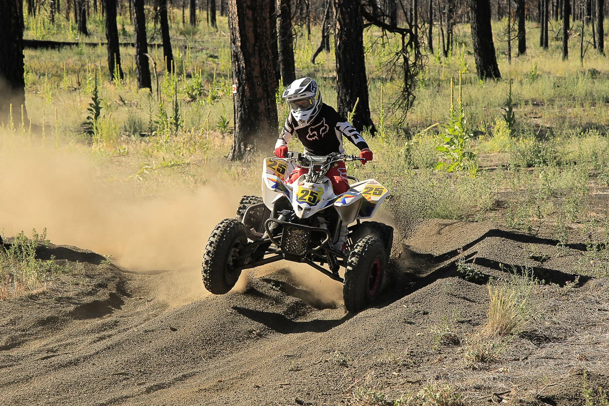 News - 2025 AZOP Cinders Grand Prix | race-deZert