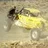 A-Tech_Racing