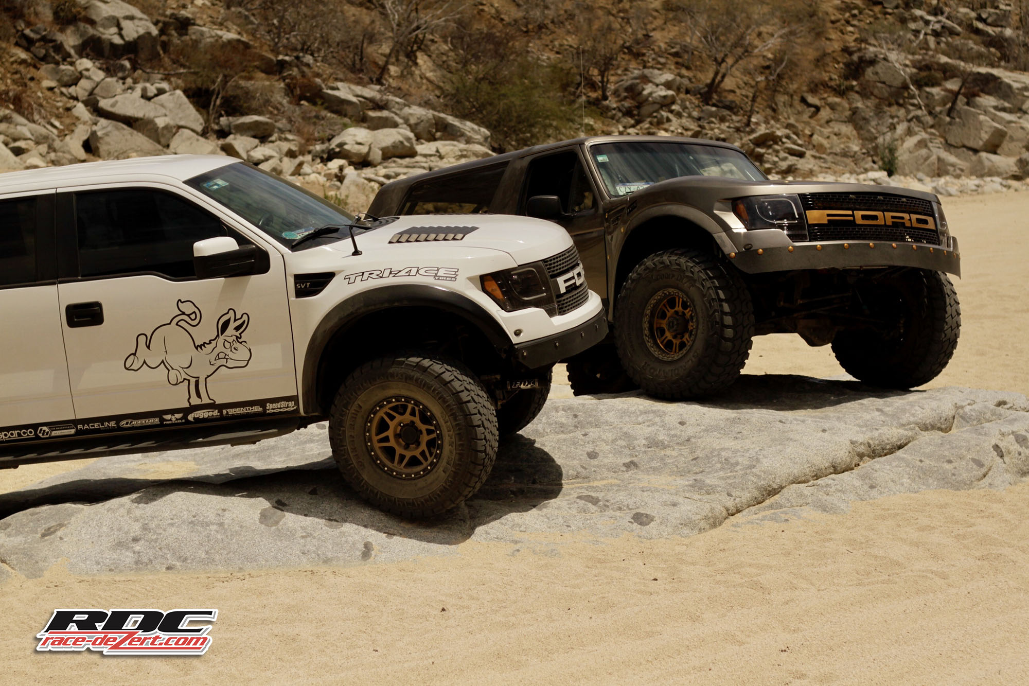 The Braptor | race-deZert