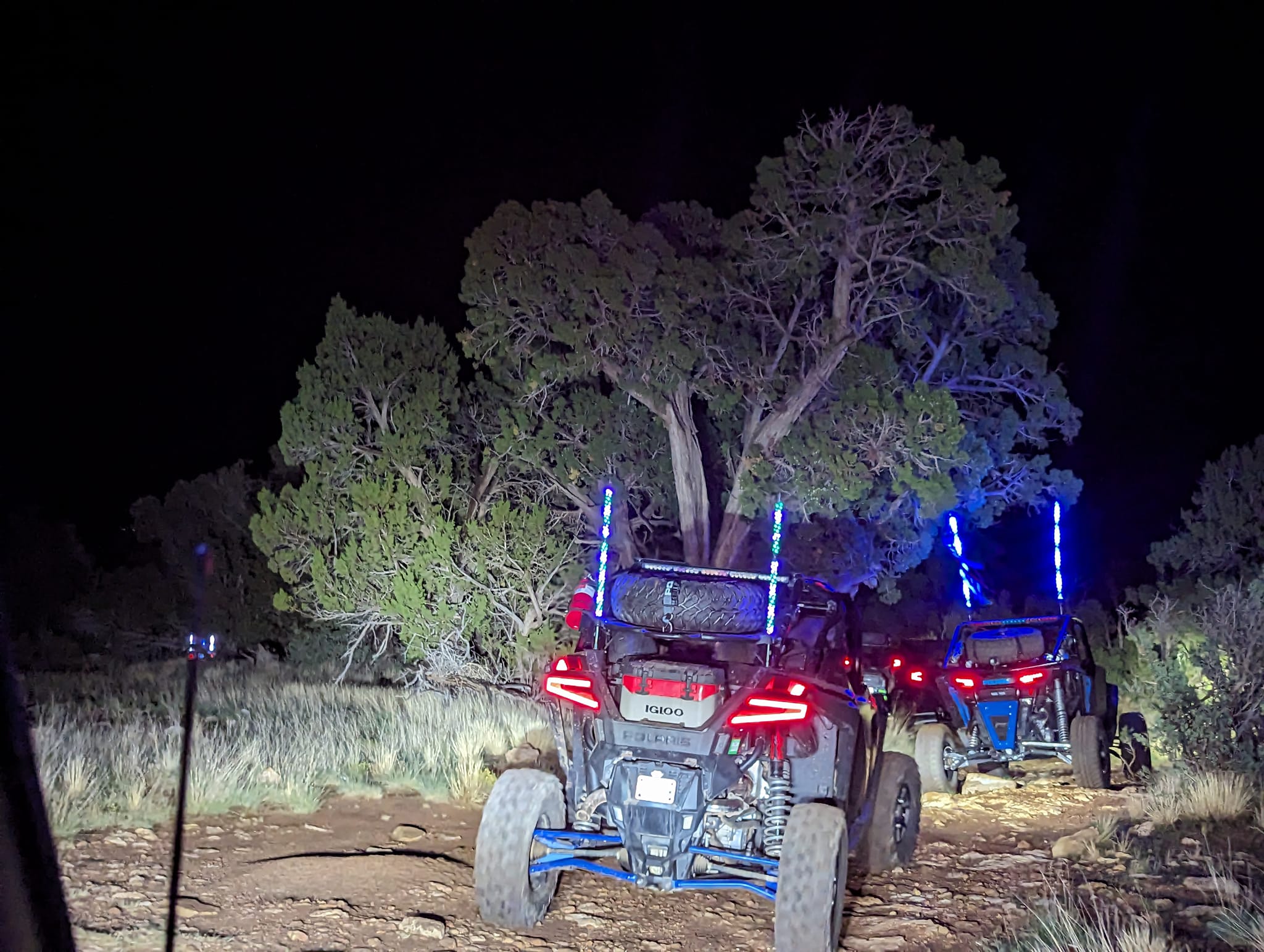 2023 Prickly Pine Cone UTV Fest | race-deZert