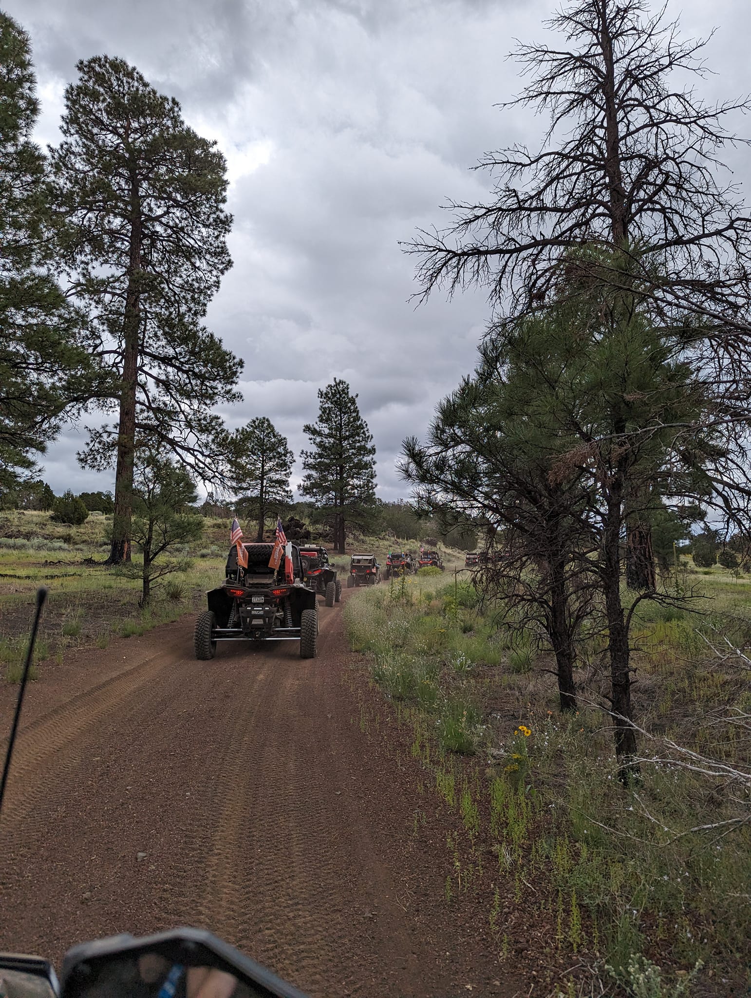 2023 Prickly Pine Cone UTV Fest | race-deZert